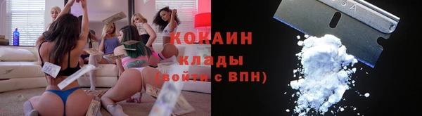 винт Пересвет