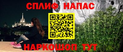 спайс Новодвинск