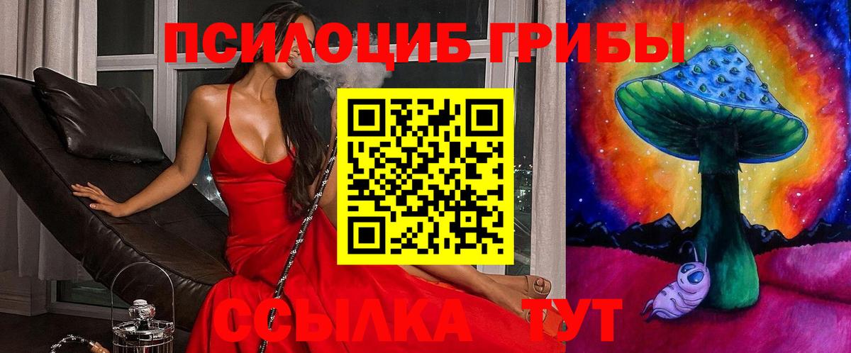 Псилоцибиновые грибы Psilocybe  Галлюциногенные грибы мухоморы  продажа наркотиков  Холмск  Вход с VPN 