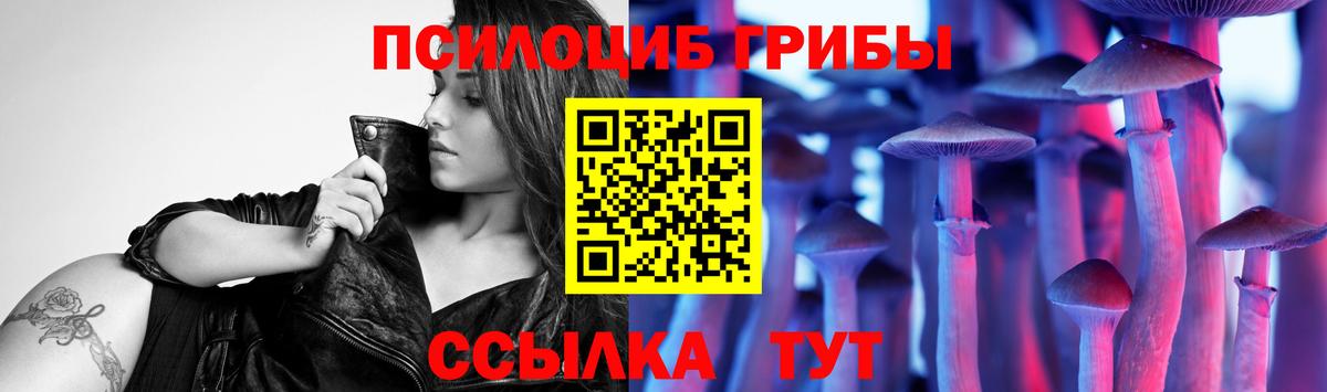Галлюциногенные грибы Psilocybe Холмск