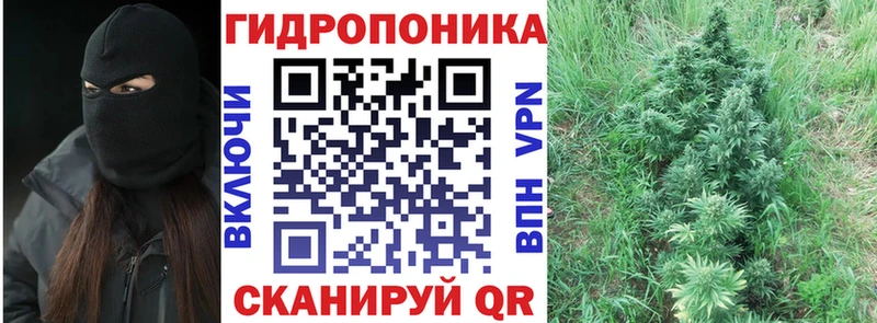 Бошки Шишки гибрид  Холмск 